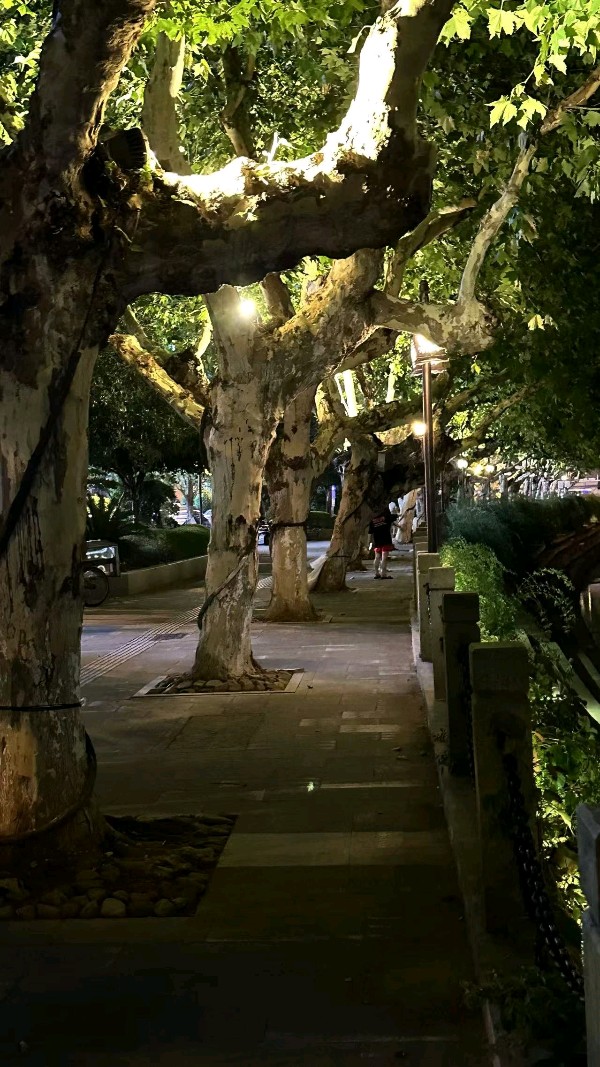 秋 夜……古 梁