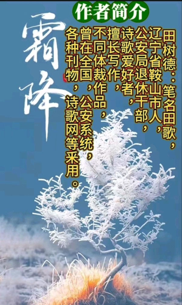 《释然心灵》作者:田歌 [中国现代诗歌文化传媒]（图15）