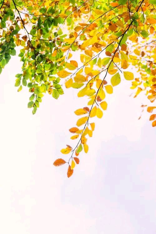王金政的《感谢泥土》