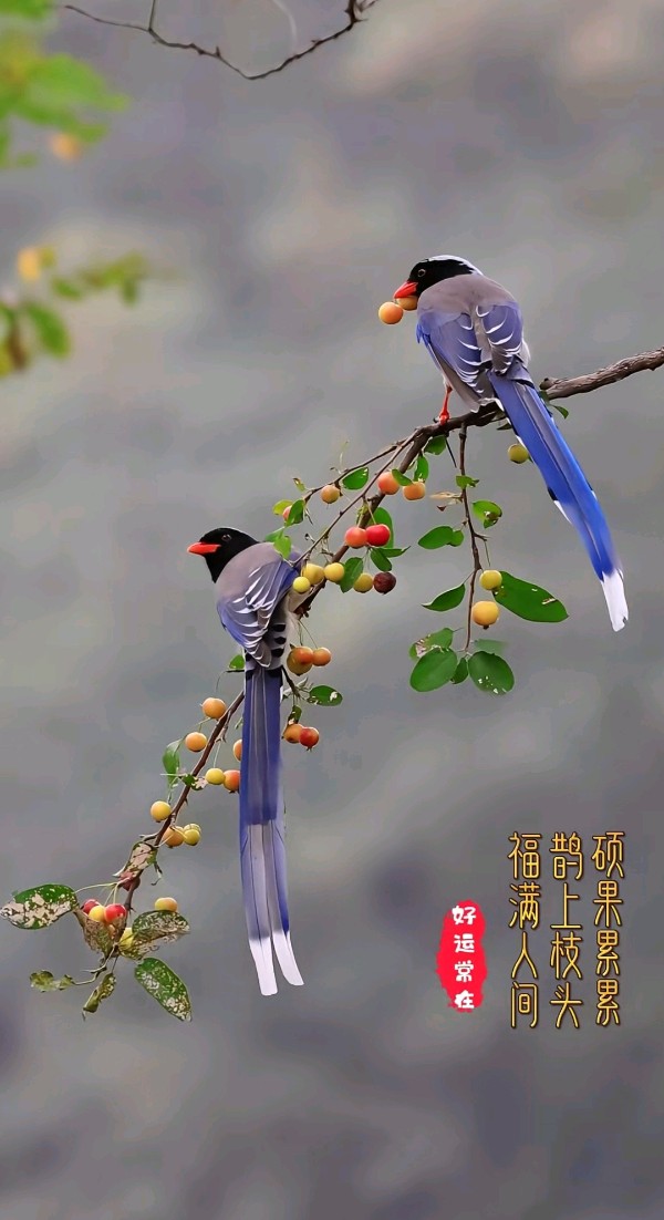 唐多令-季秋～词||王政（图13）