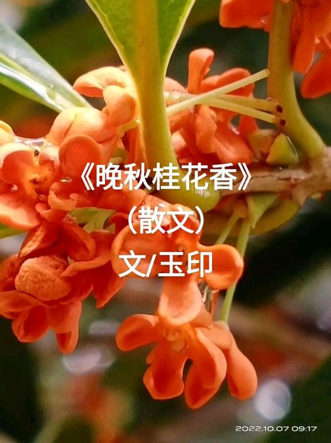 李孝先的现代诗歌002（图2）