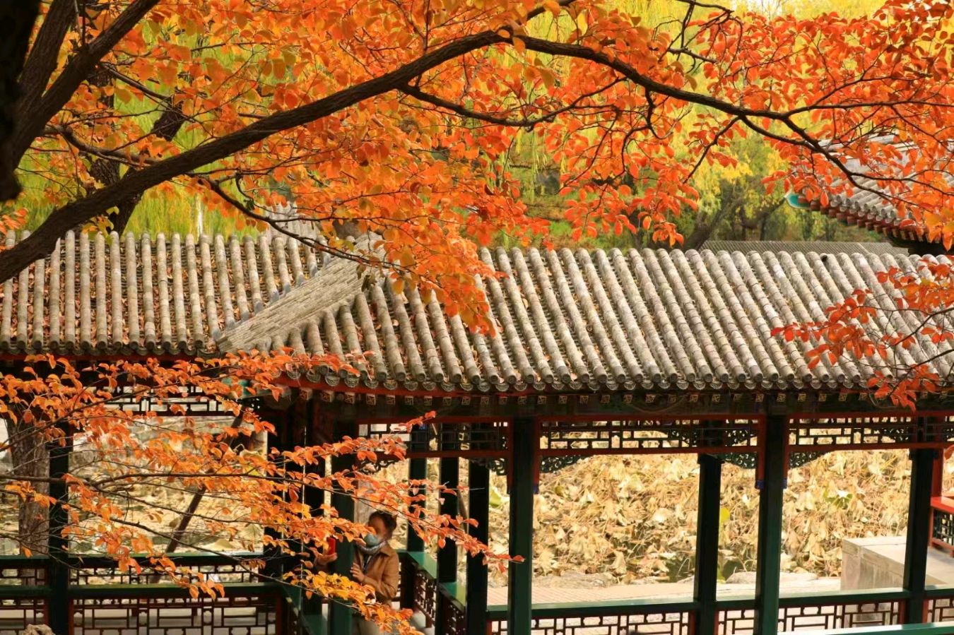 聆听 ‖ 弘华朗诵《太阳牵着我的手》作者/石志华（图9）