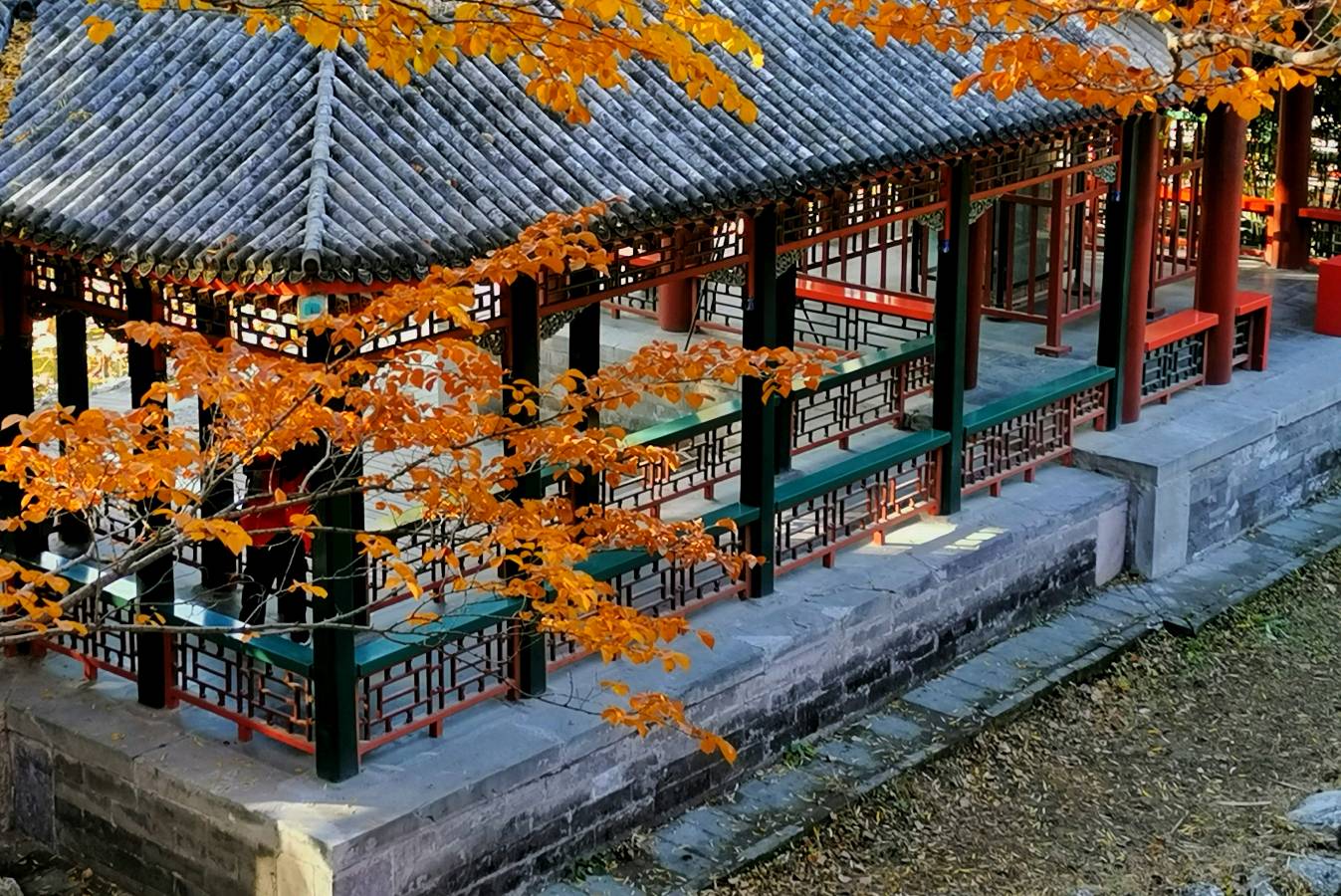 聆听 ‖ 弘华朗诵《太阳牵着我的手》作者/石志华（图5）