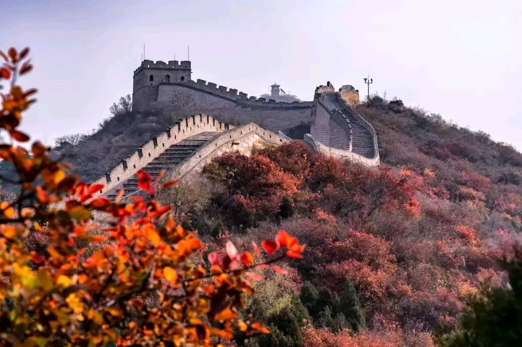 【暮秋抒怀】杨武军//暮秋有感（图4）
