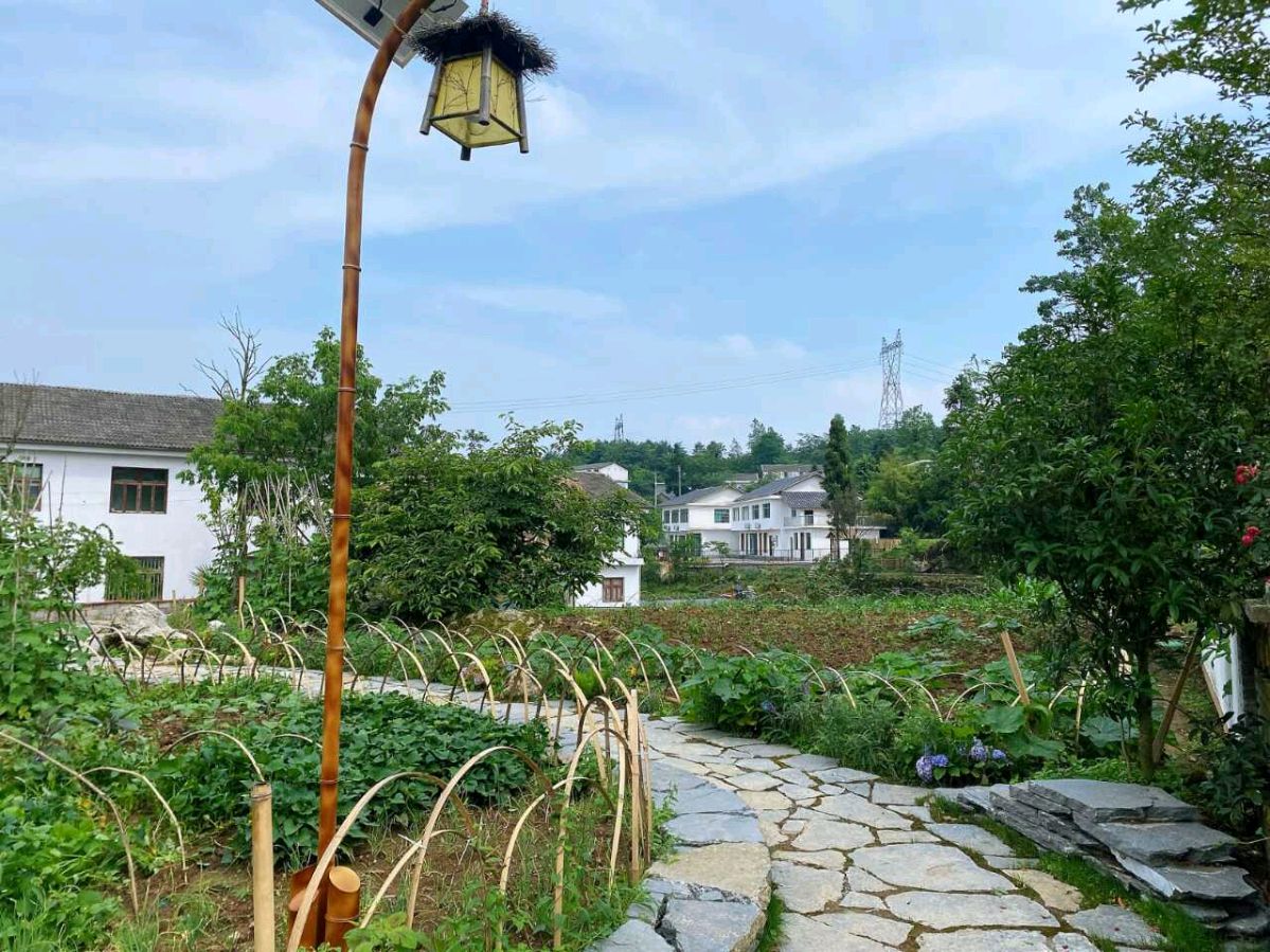 陕西作家孙旭升 《日闲杆之臭臭的银杏果》（图4）