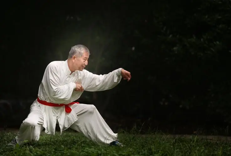 【新山东文学社】《忆王玉山老师教我螳螂拳》作者/马鸿冰（图9）