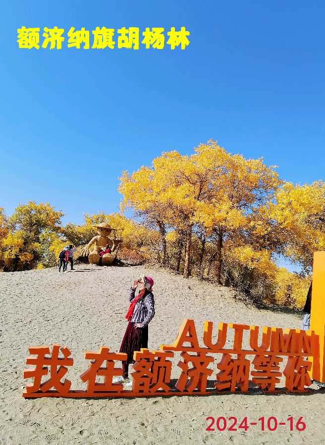 游“额济纳”胡杨林～诗||李耀文（图9）
