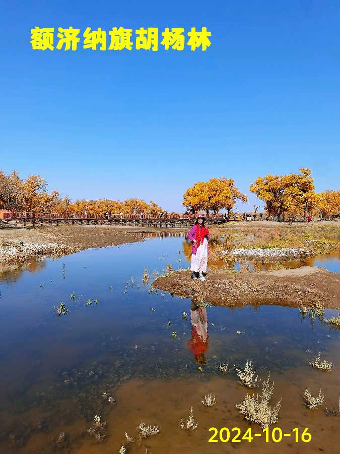 游“额济纳”胡杨林～诗||李耀文（图16）