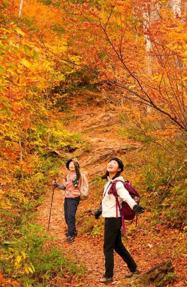 五律-登山～诗||王政（图9）