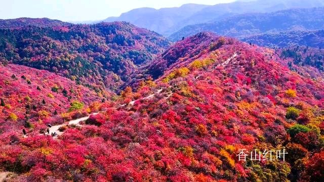 【重磅推出】鲁坡//五律•晚秋随笔[天道轮回饶过谁]（图9）
