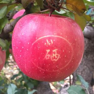 【经典推荐】杨武军//富硒苹果好（图4）