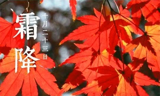 《九江文学社：有声文学平台》诗作十一首 文/尹连荣（天津）主播/紫薇（图2）