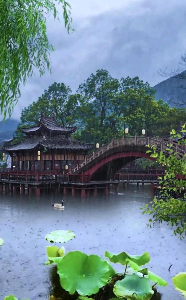【长篇小说联播12】江南风雨(长篇小说)文/汤文来第十二集：谜团渐解 金牌主播/小薇（图4）