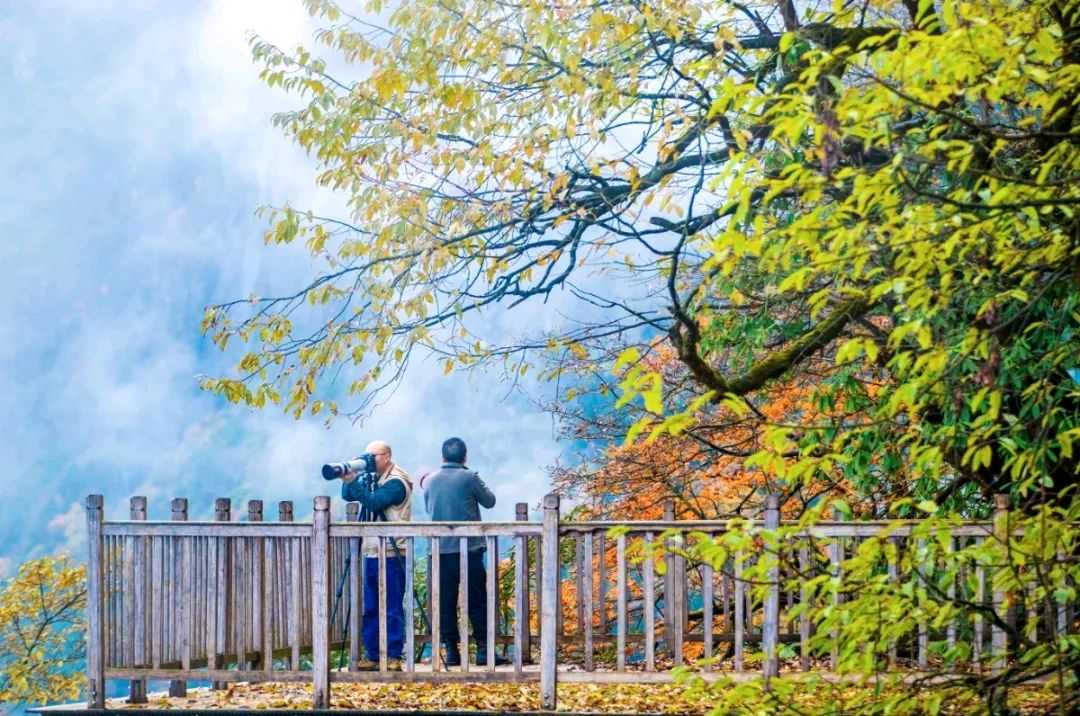 二十四节气之金秋画卷 文/高建文(图4)