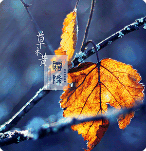 《霜降二题》作者:苏守煜 [中国现代诗歌文化传媒]（图6）