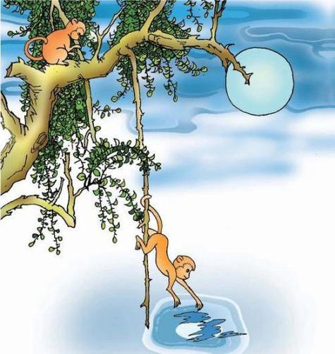 霜扣儿：《捞月亮的猴子》海外头条（图5）