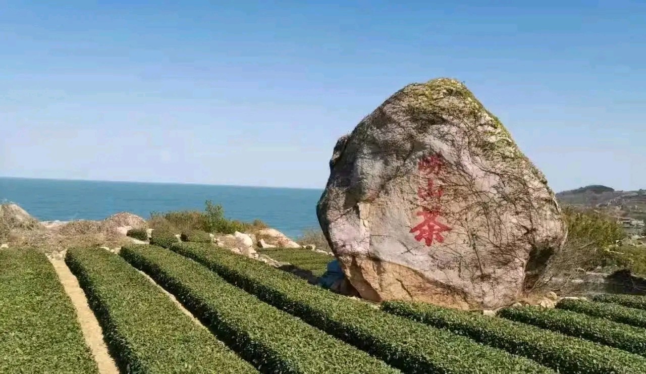 青岛崂山行留韵金夜（兰州）（图5）