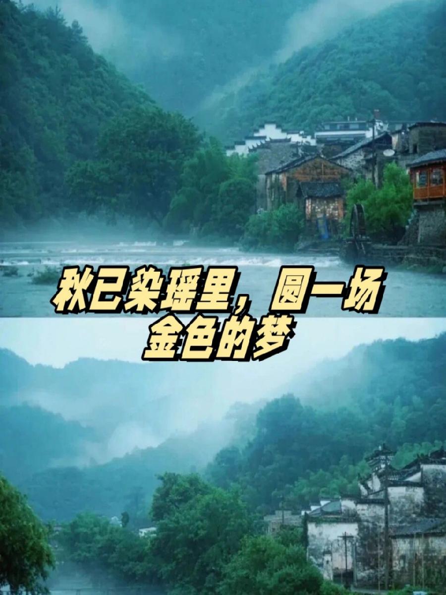 武庆兵：《金色的梦》海外头条（图5）