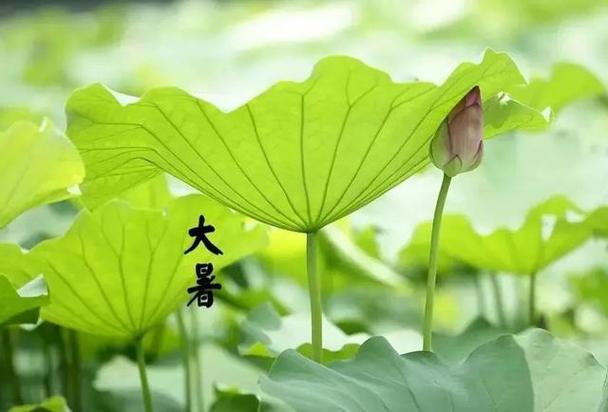 【金夜诗词专辑】002期黑吉辽诗词推荐。（图4）