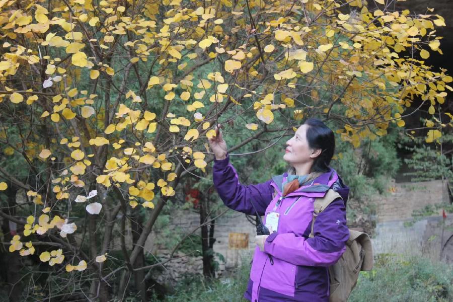 暮秋感吟（文/空谷幽蘭）……莲叶之珠文学社