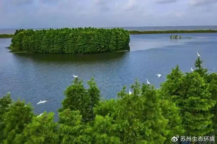 【名家诗坛】中国著名古诗词家《匡扶诗存》之二十八（九首）海外头条（图11）