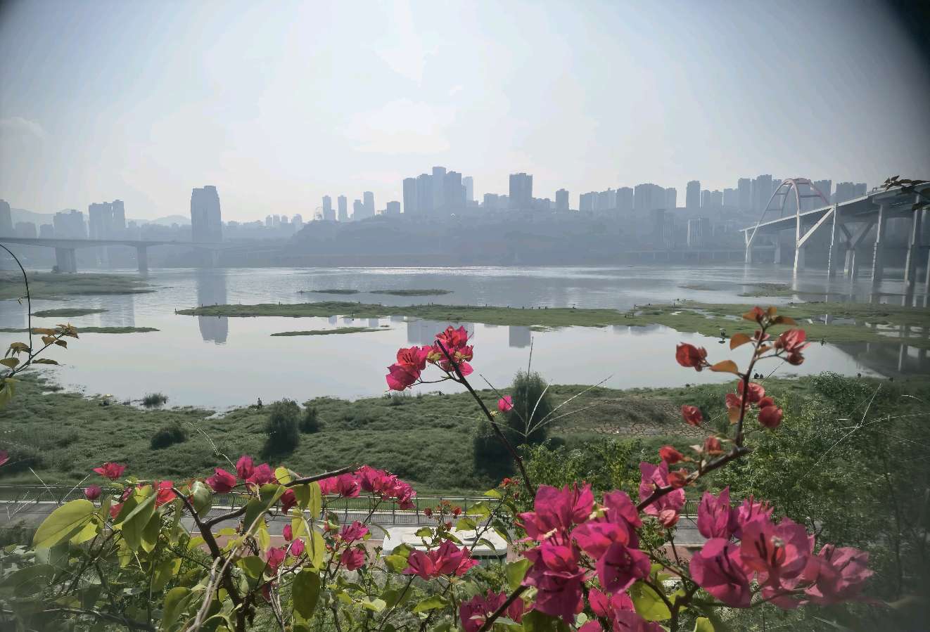 「游记散文」晚秋漫游珊瑚坝（图19）