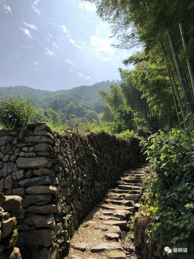 乡土人情系列小说之五：菊花凋零（九）作者｜思洋｜海外头条（图5）