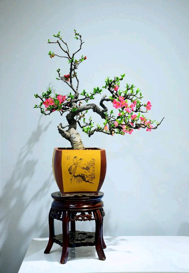 欣赏高敬求老师律诗·玻璃海棠（图3）