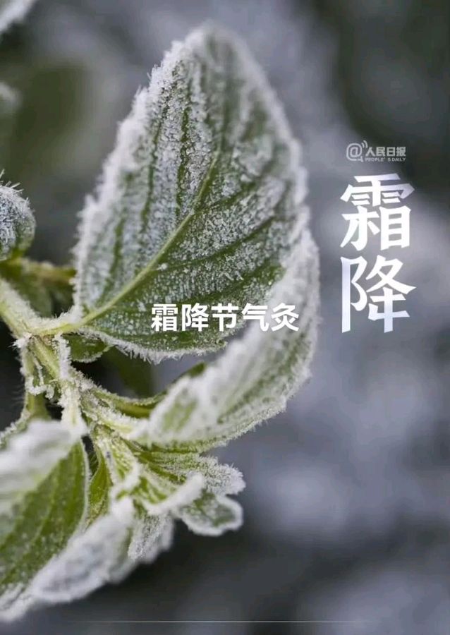 【对对子】作者:刘景钰（红色文化传媒会员）（图3）