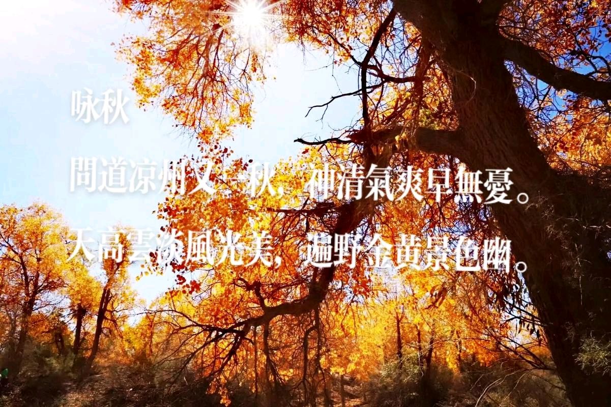 赵秉礼诗词专辑001期（图5）