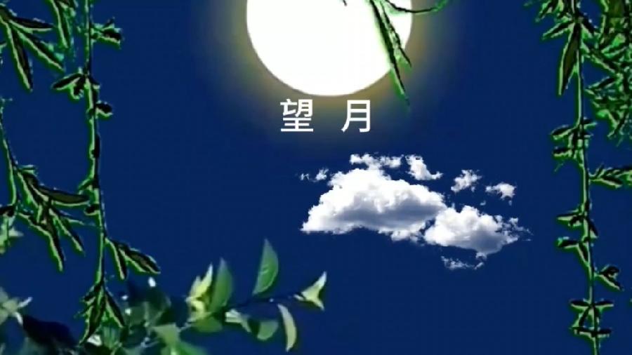 石乐：《望月》海外头条（图5）