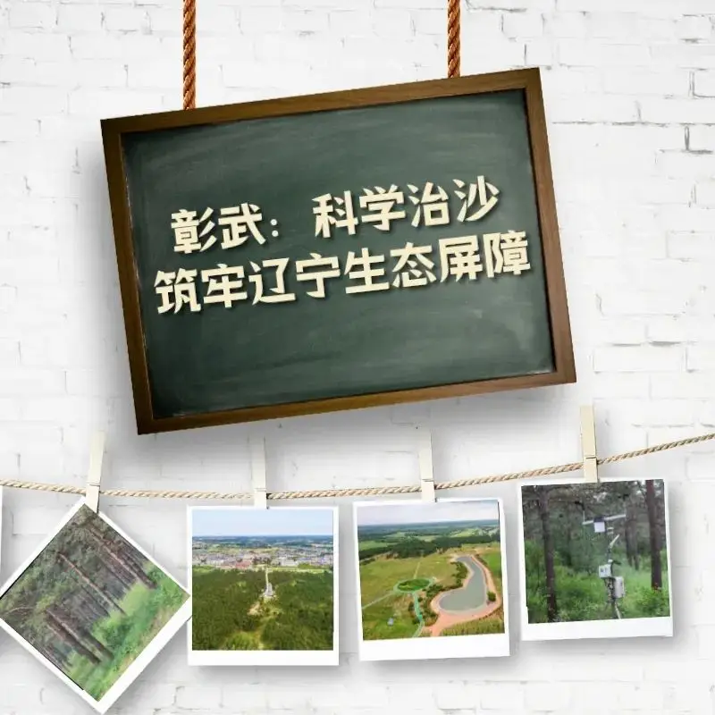 七律-咏彰武治沙精神～诗||王政（图18）