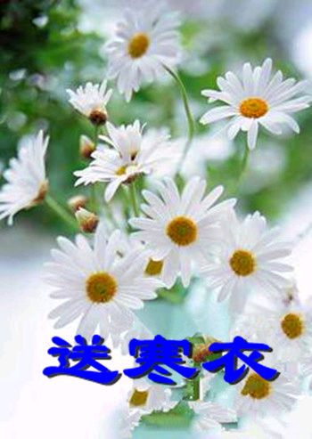 喝火令-送寒衣～词||刘瑞宝（图9）