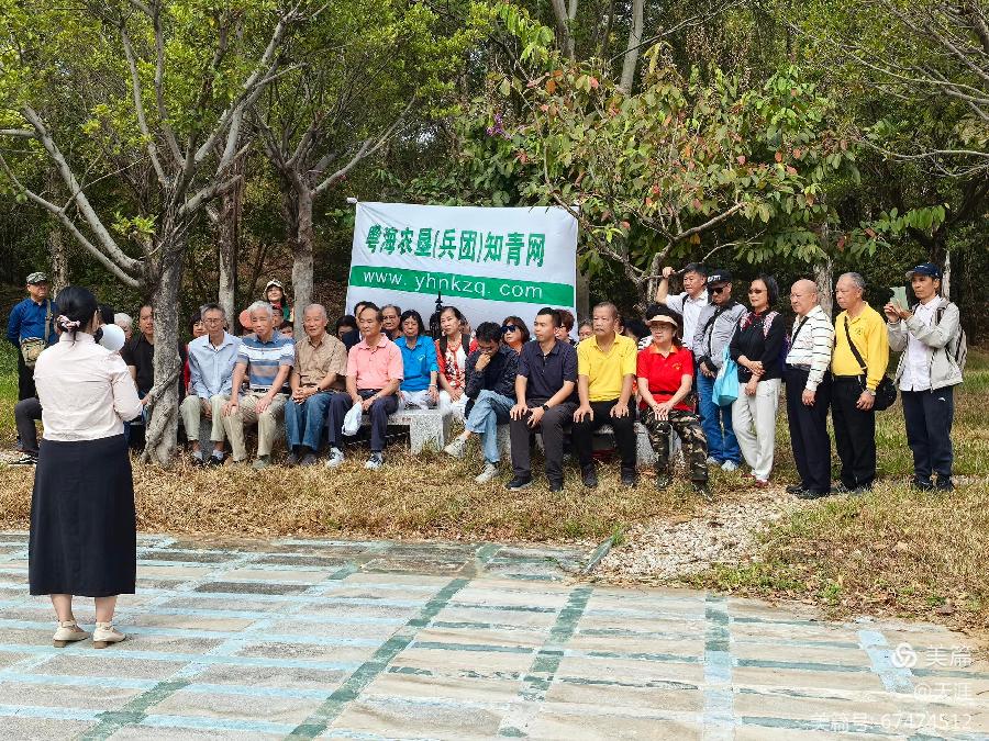 情满知青林 画册显奉献(图11)
