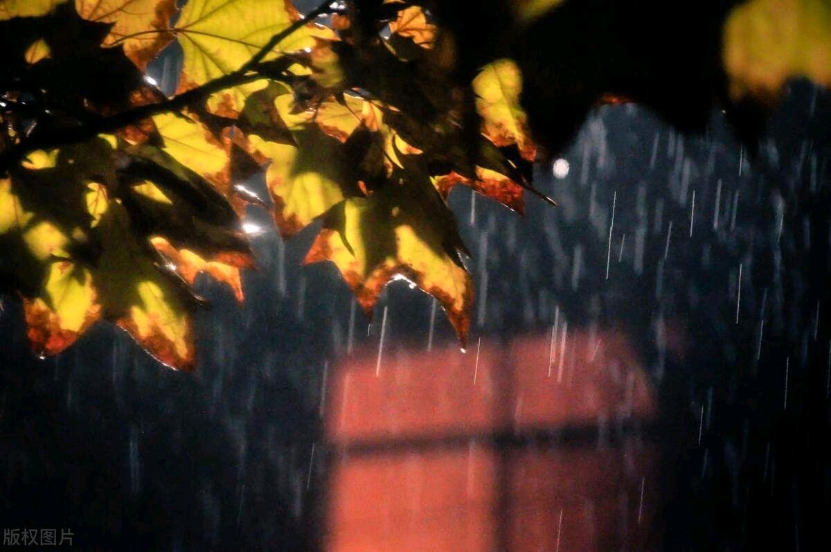 【明心文学】水川||秋天秋韵组诗·之三 主播||舒心快乐(图3)