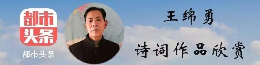 王绵勇诗词选/中华诗艺社黑龙江分社推荐（图4）