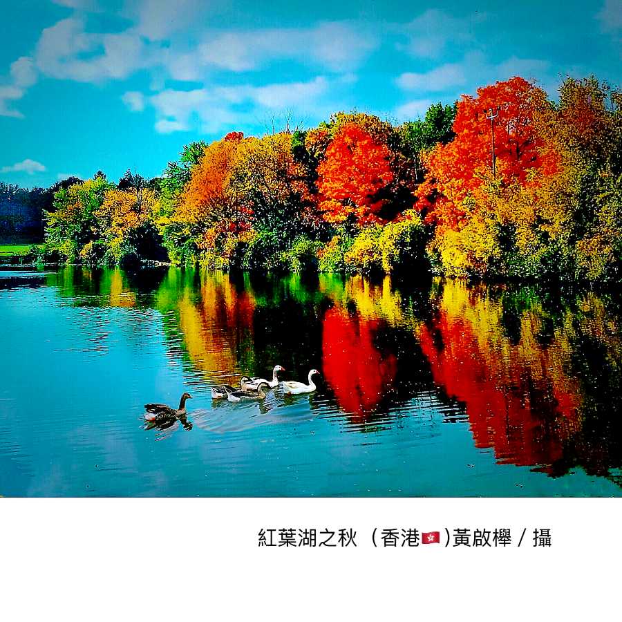 黃啟櫸短詩丨胡少璋简评（图2）