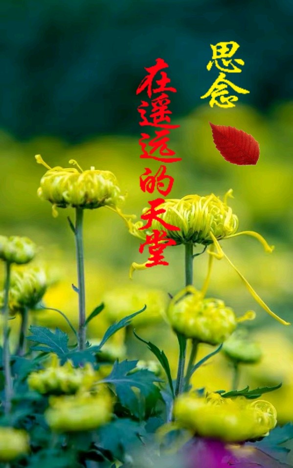 七绝-寒衣祭祖～诗||真诚（哲林）（图14）
