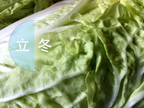 吴宗春诗词专辑002期（图6）
