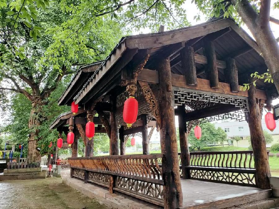 【现代自由诗九首】: 作者||曾振华｜海外头条（图7）