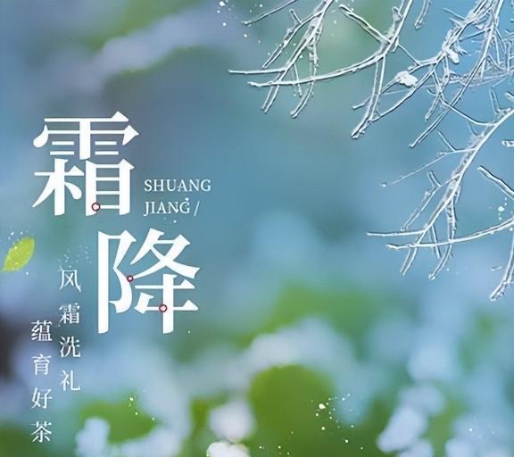 【现代自由诗九首】: 作者||曾振华｜海外头条（图11）