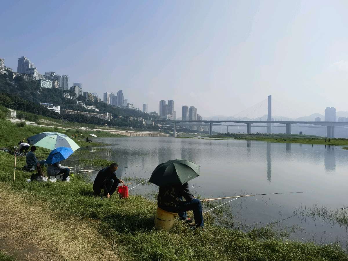 「游记散文」晚秋漫游珊瑚坝（图26）