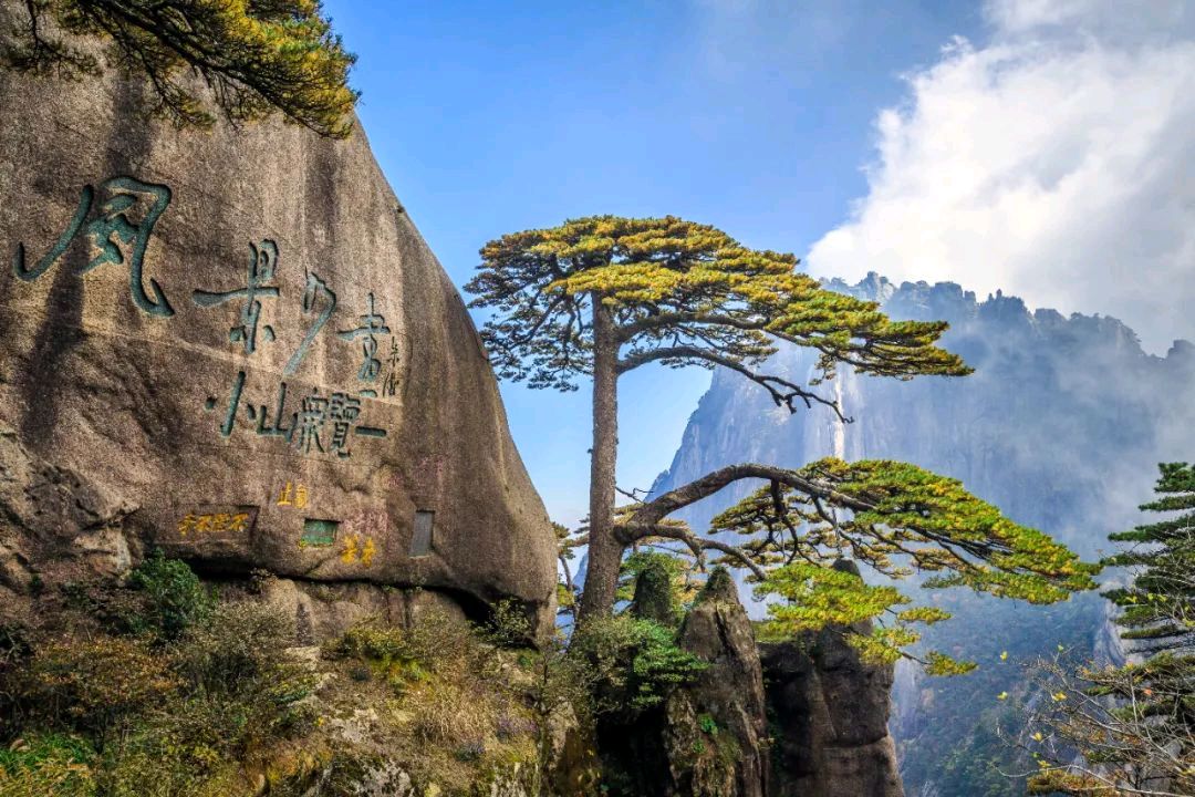 （七律.新韵）《看黄山迎客松有感》《赞梅》文/陈更新（图3）