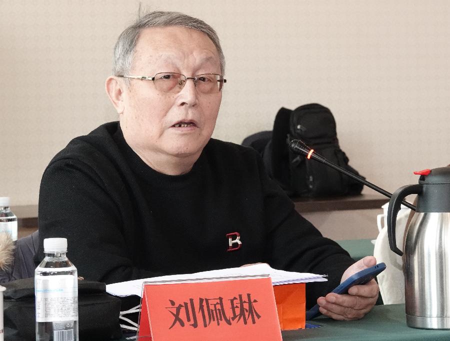【新山东文学社】特别推荐——刘佩琳先生的长诗:《大中国畅想曲》（图11）