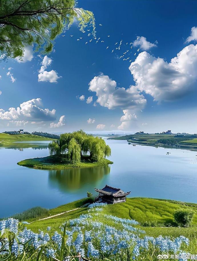 梦萱：《遇见，即风景》海外头条（图5）