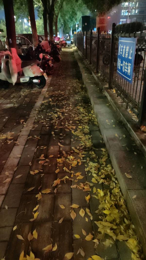 《寒衣烬》文/安曼（图4）