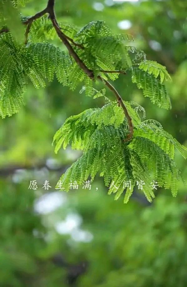 七绝-遣怀～诗||王政（图9）