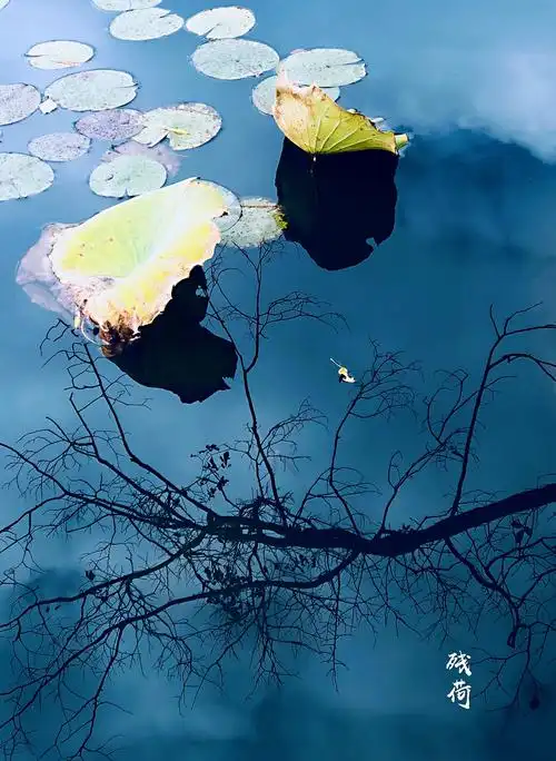 立冬～诗||吴永良（图9）