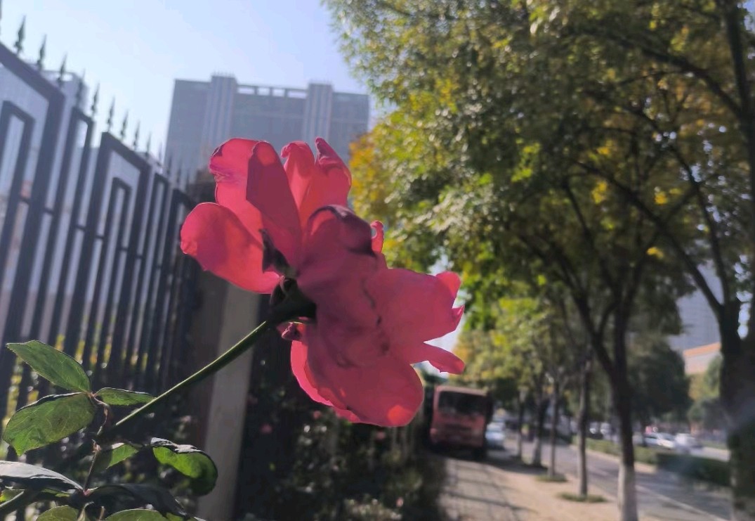 走在时间前面的人（图2）