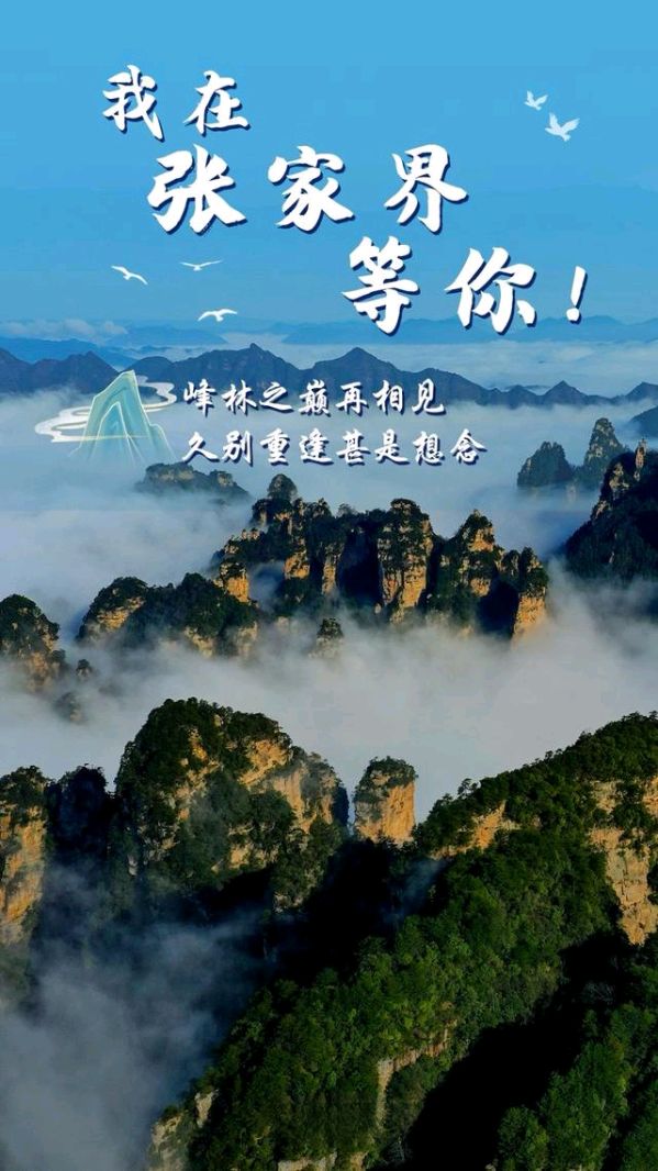 张家界游记～作者||程嘉乐～导师||魏兴付（图8）